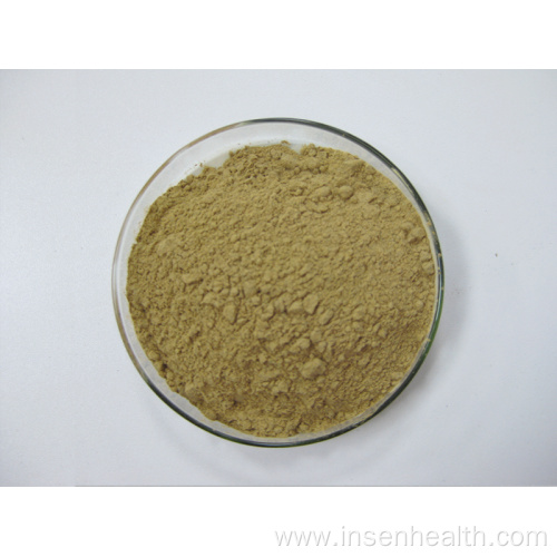 Cyanotis Arachnoidea Extract Powder Ecdysterone